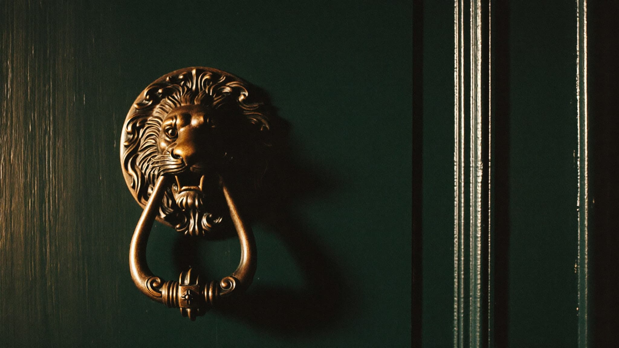 Aldaba de latón con cabeza de león sobre una puerta lacada en verde oscuro.